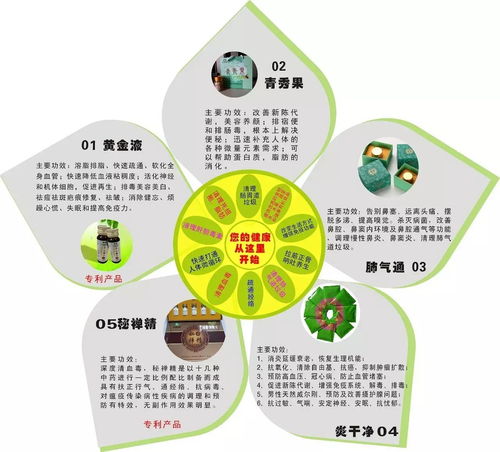 微循環(huán) 生命健康的基石與健康管理的核心